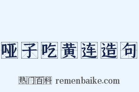 哑子吃黄连造句是什么意思的图片